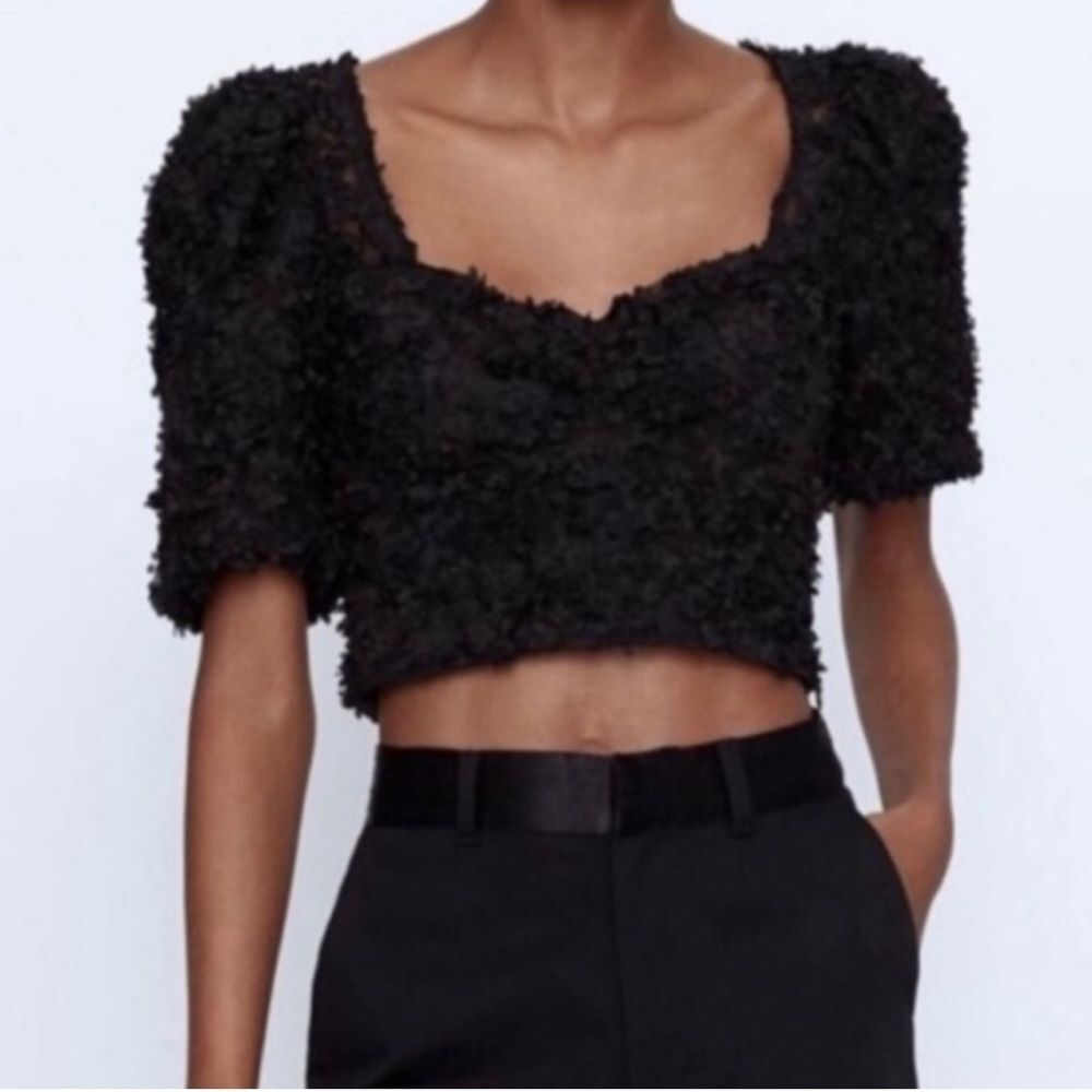 NWOT ZARA Women's Black Floral Tulle Crop Top XS